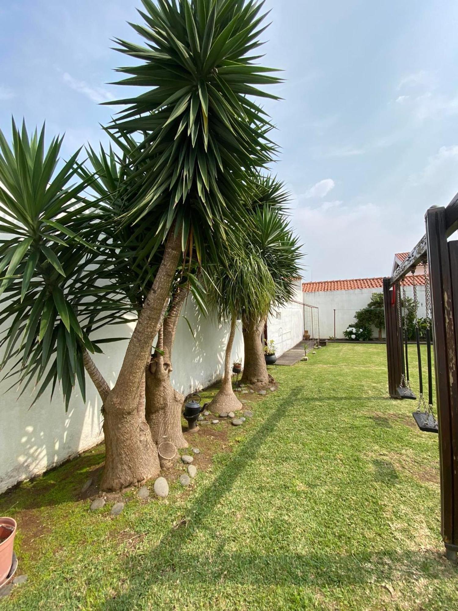 Apartamentos Sao Joao Horta  Exterior photo