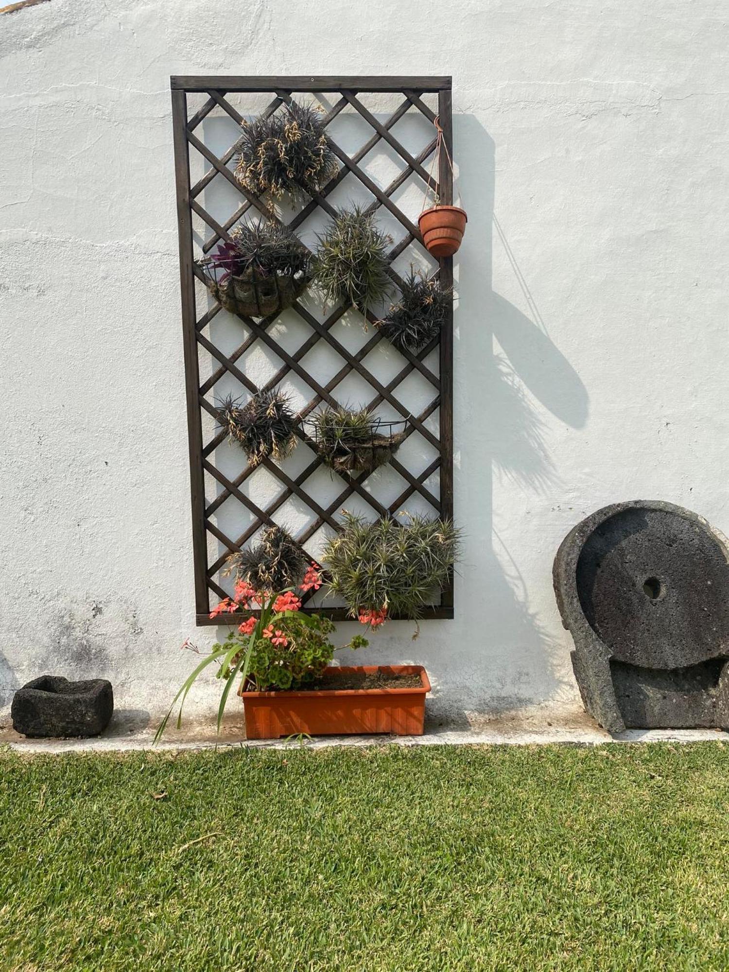 Apartamentos Sao Joao Horta  Exterior photo